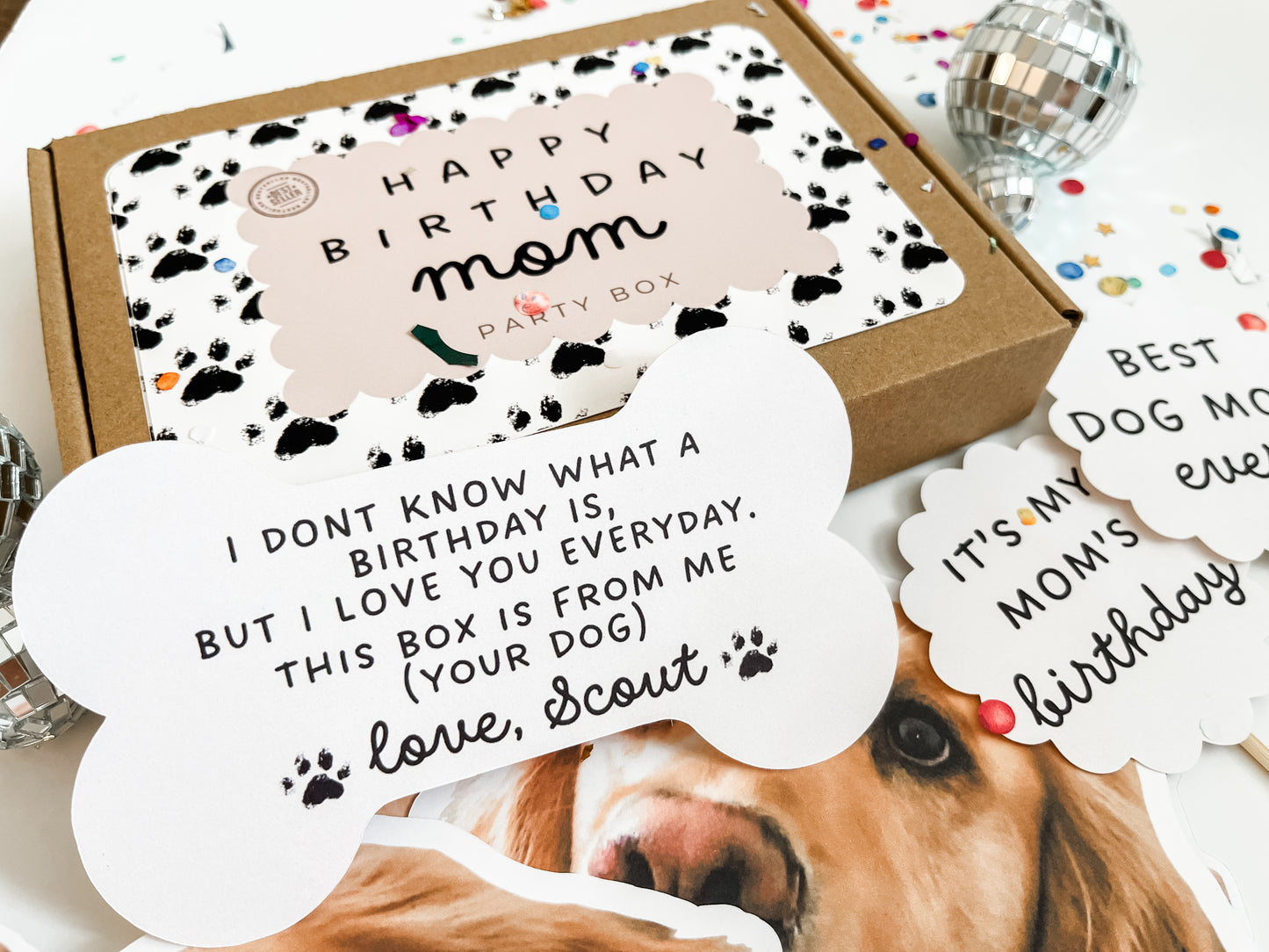 Birthday Gift Box from Dog to Human