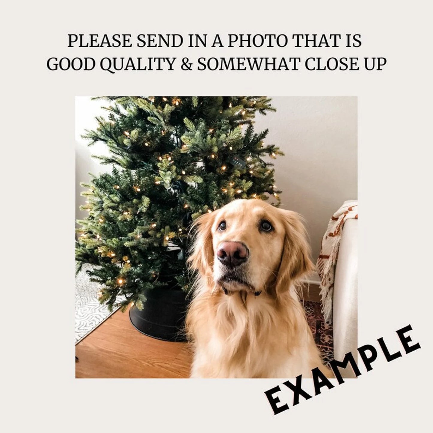 My Parents Are Getting Married Banner + Face Garland DUO