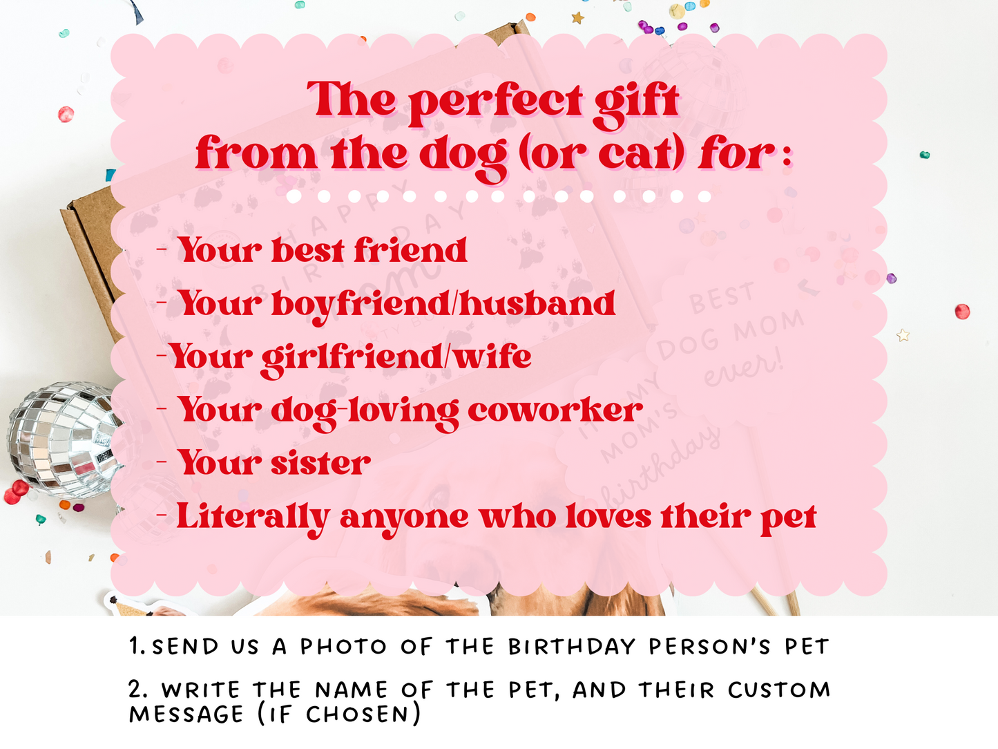 Birthday Gift Box from Dog to Human
