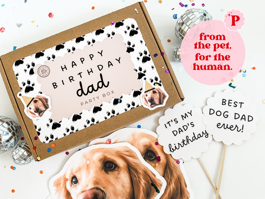 Birthday Gift Box from Dog to Human