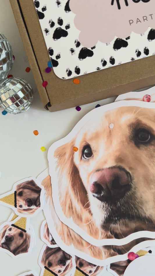 Birthday Gift Box from Dog to Human